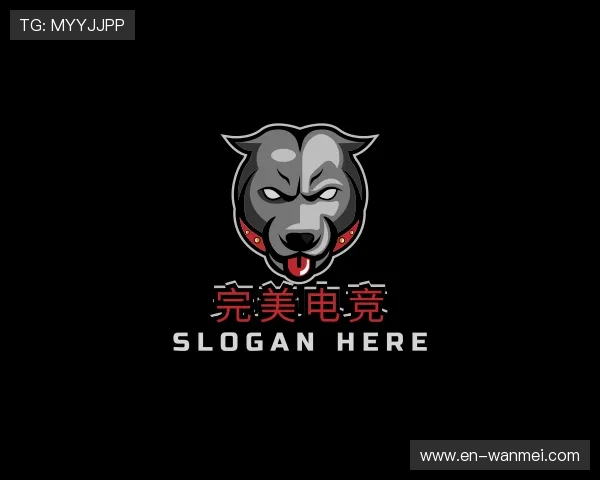 发现完美电竞官网